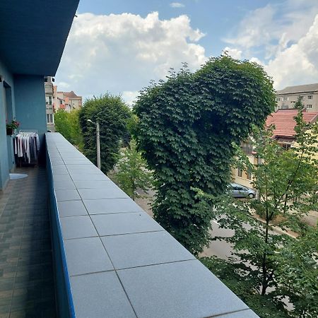 Apartament Very Big Bistrita  Ngoại thất bức ảnh